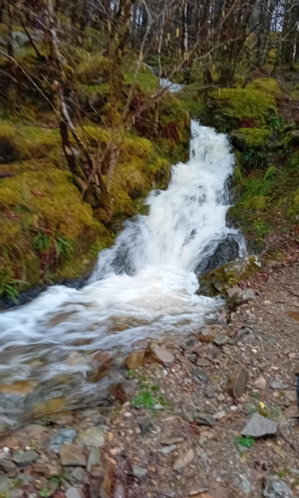 Rosies Cabin Maum Galway Eksteriør bilde